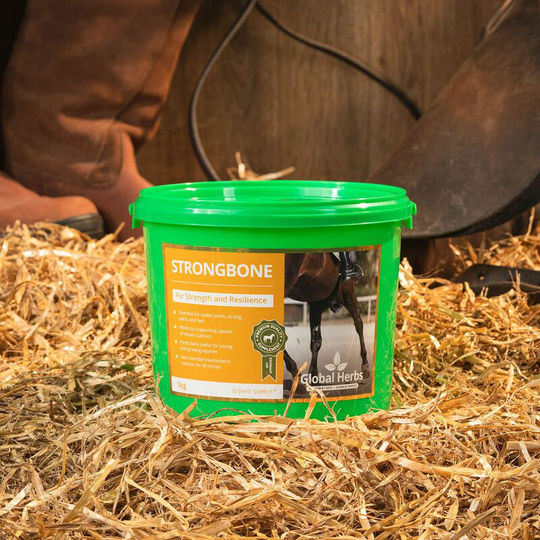 Global Herbs - Strongbone - 1 Kg - STRONGBONE1KG