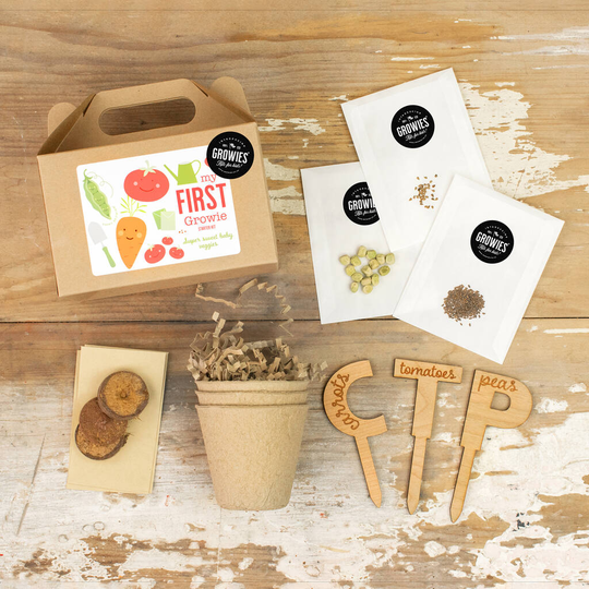 My First Veggie Starter Seed Kit
