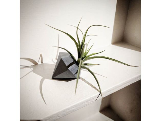 3D Printed Diamond Air Plant Holder Pot Eco Friendly Biodegradable Material