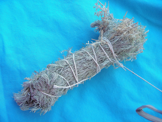 Organic Wild Grown Dried Desert Sage Bundle - Smudge Stick - Incense