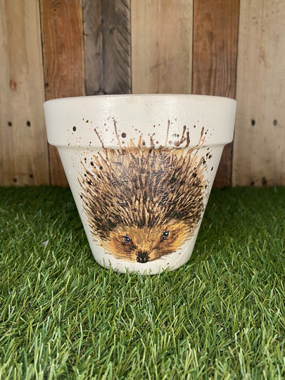 Hedgehog Plant Pot, Hedgehog Gift, Indoor Planter, Outdoor 15cm Pot | 63