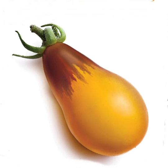 Tomato Indigo Pear Drops Seeds Heirloom Non Gmo For Planting | 204495