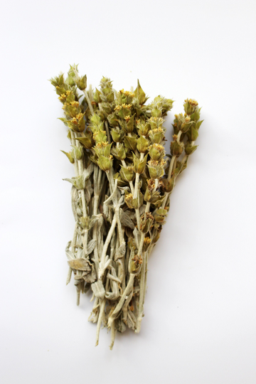 Greek Mountain Tea 40G - Sideritis 100% Natural Premium Quality Greek Mountain Tea Herbal