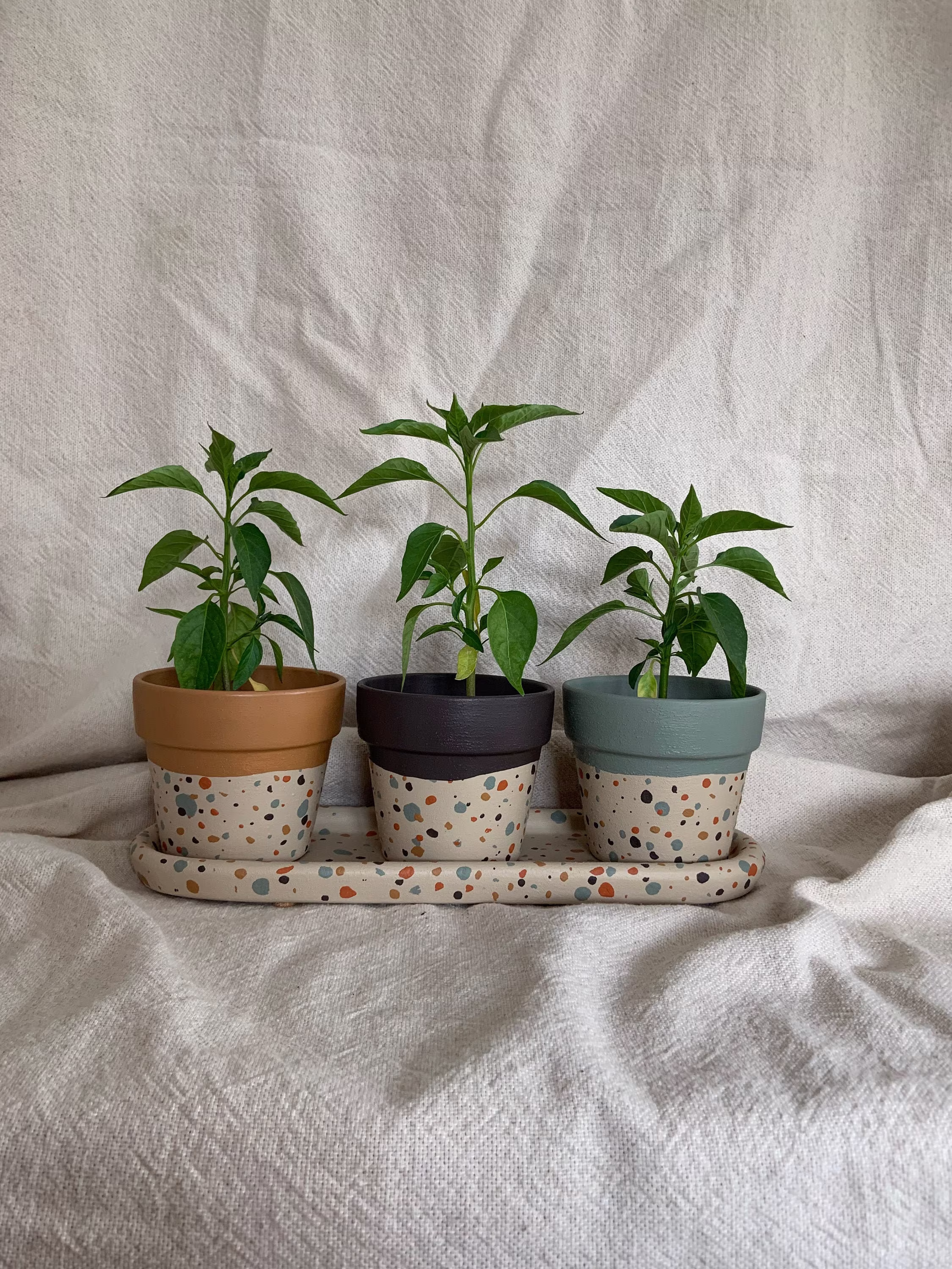 Trio Of Hand Painted Indoor Plant Pots With Matching Tray | Faux Terrazzo 11cm Diameter Boho Blue
