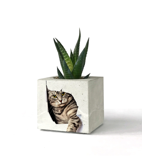 Cat Printed Concrete Planter, Succulent Holder, Cactus Pots, Unique Gift For Her, Office Decor Plant Pot