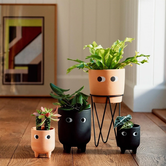 Side Eyes Terracotta/Black Planters - Several Styles Available