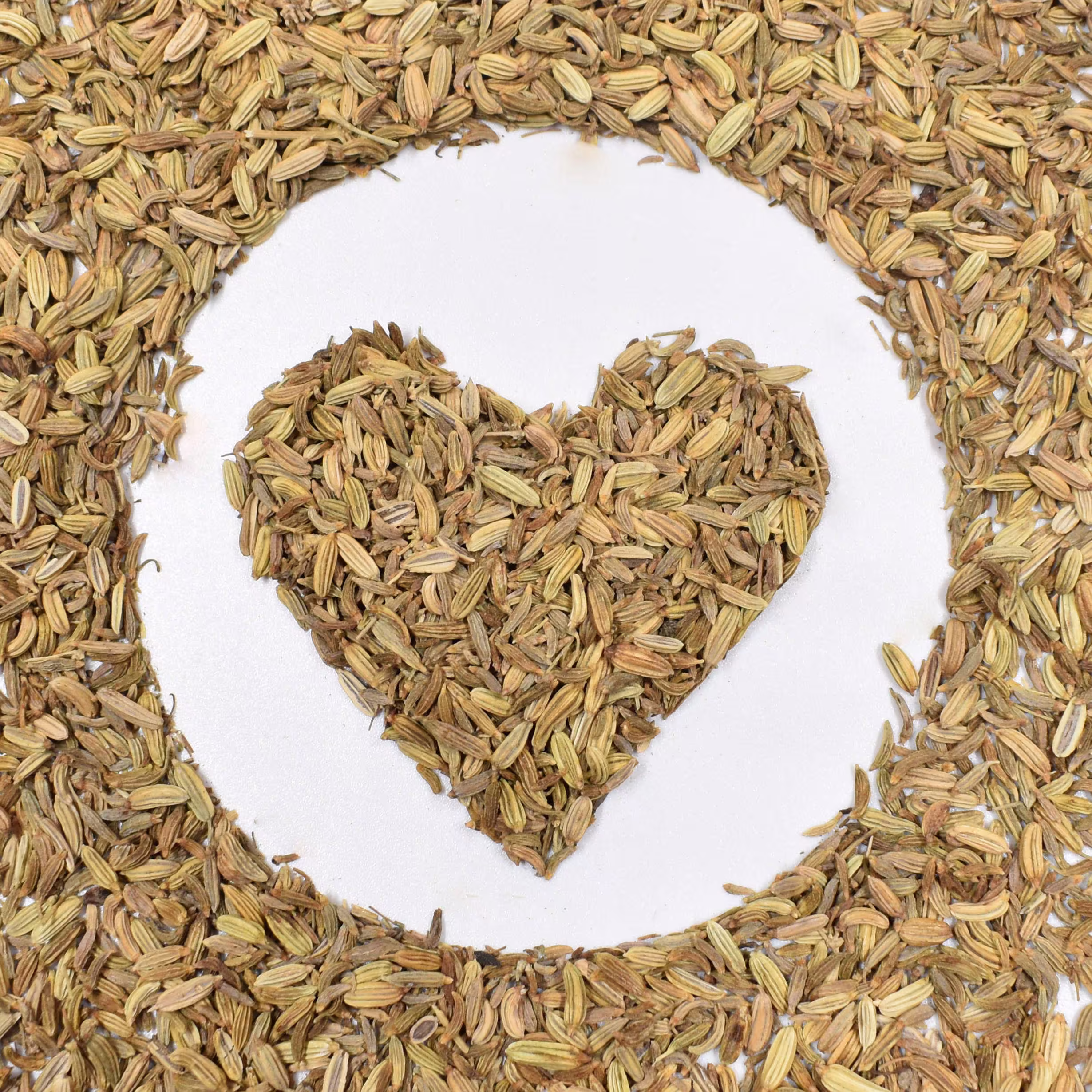 Fennel Seeds 250/400G Koper Wloski Nasiona Foeniculum Vulgare Premium Quality Dried Herb & Herbal Tea
