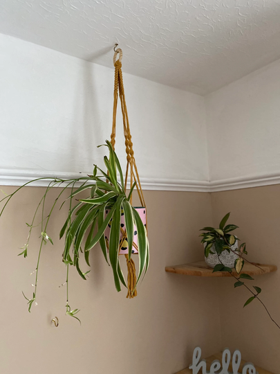 Mustard Yellow Macrame Plant Hanger, Boho Home Decor, Vase Indoor Pot Holder, Eco Friendly Gifts For Lover