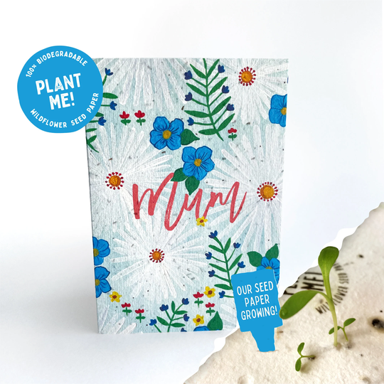 Mothers Day Card/Mum Plantable Seed Floral Handpainted British Wildflowers