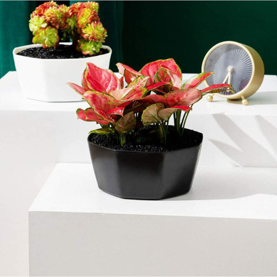 2 Pack Large Colorful Plastic Planters, Plant Stand Nordic Style Planter Plant Container Holder for Succulents, Flowers, Herbs, Cacti Indoor/Outdoor