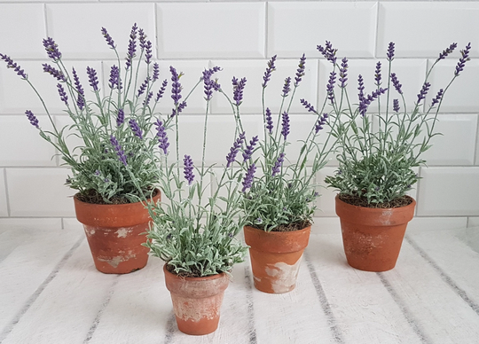 Artificial Lavender Plant in Vintage Terracotta Pot Purple Realistic Faux Indoor Planter Mothers Day Gift Fake