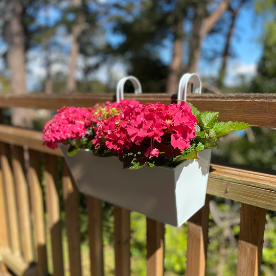 Ice White Balcony Hanging Planters | Set Of 2