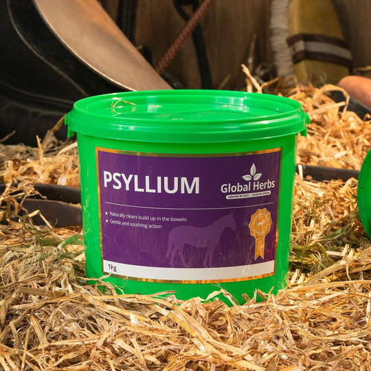 Global Herbs - Psyllium - 1 Kg - PSYLLIUM1KG