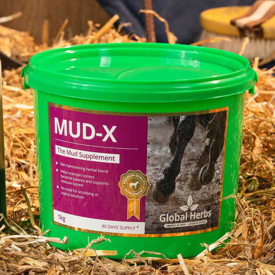 Global Herbs - Mud-X - 1 Kg - MUD-X1KG