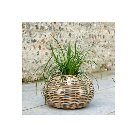 Levisham Rattan Ball Planter
