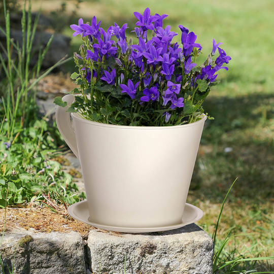 Vintage Cream Tea Cup Garden Planter