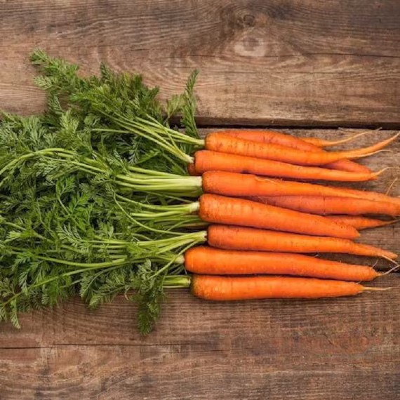 Scarlet Nantes Heirloom Carrot Seeds Fresh From Tennessee