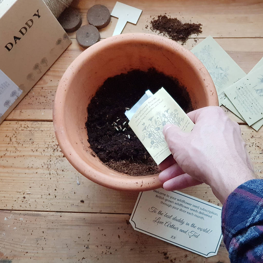 British Seed Subscription