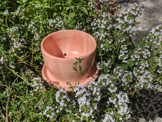 Planter With Drip Catcher