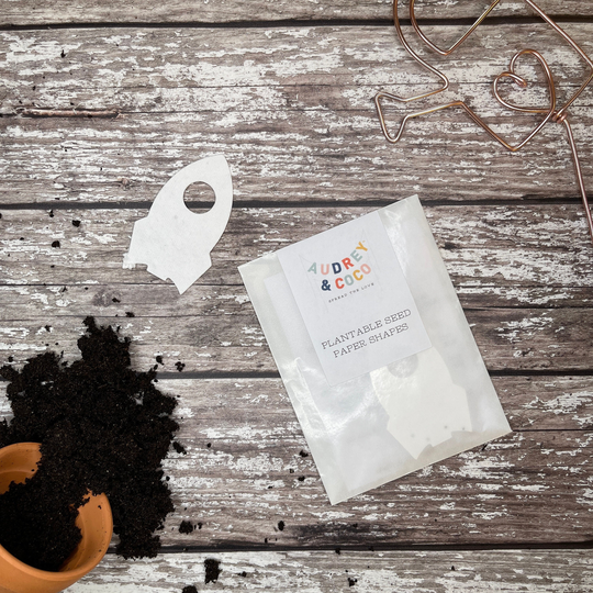 Plantable Seed Paper Rocket Shapes, Eco Friendly Party Favours