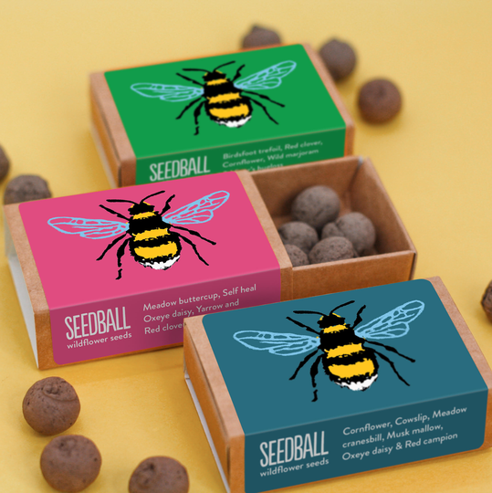 Wildflower Seeds For Bees Pack Of Three