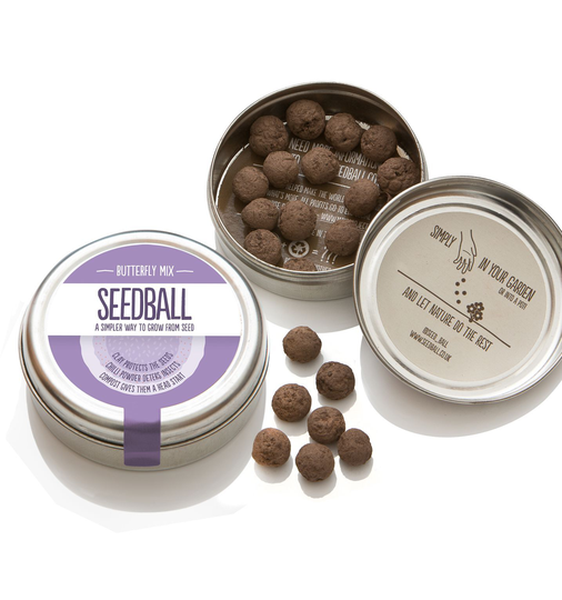 Butterfly Seedball Wildflower Gift Seed Mix Tin