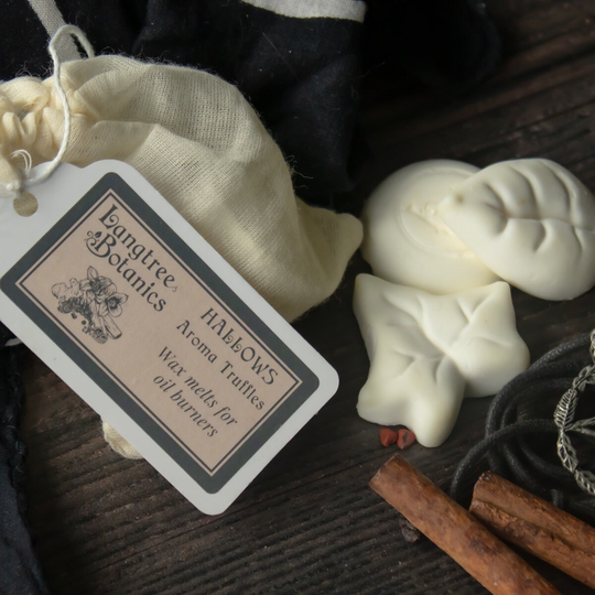 Hallows Wax Melts | Benzoin, Cinnamon, Clove, Cardamon, Ginger, Black Pepper Handcrafted Ethical Plant-Based