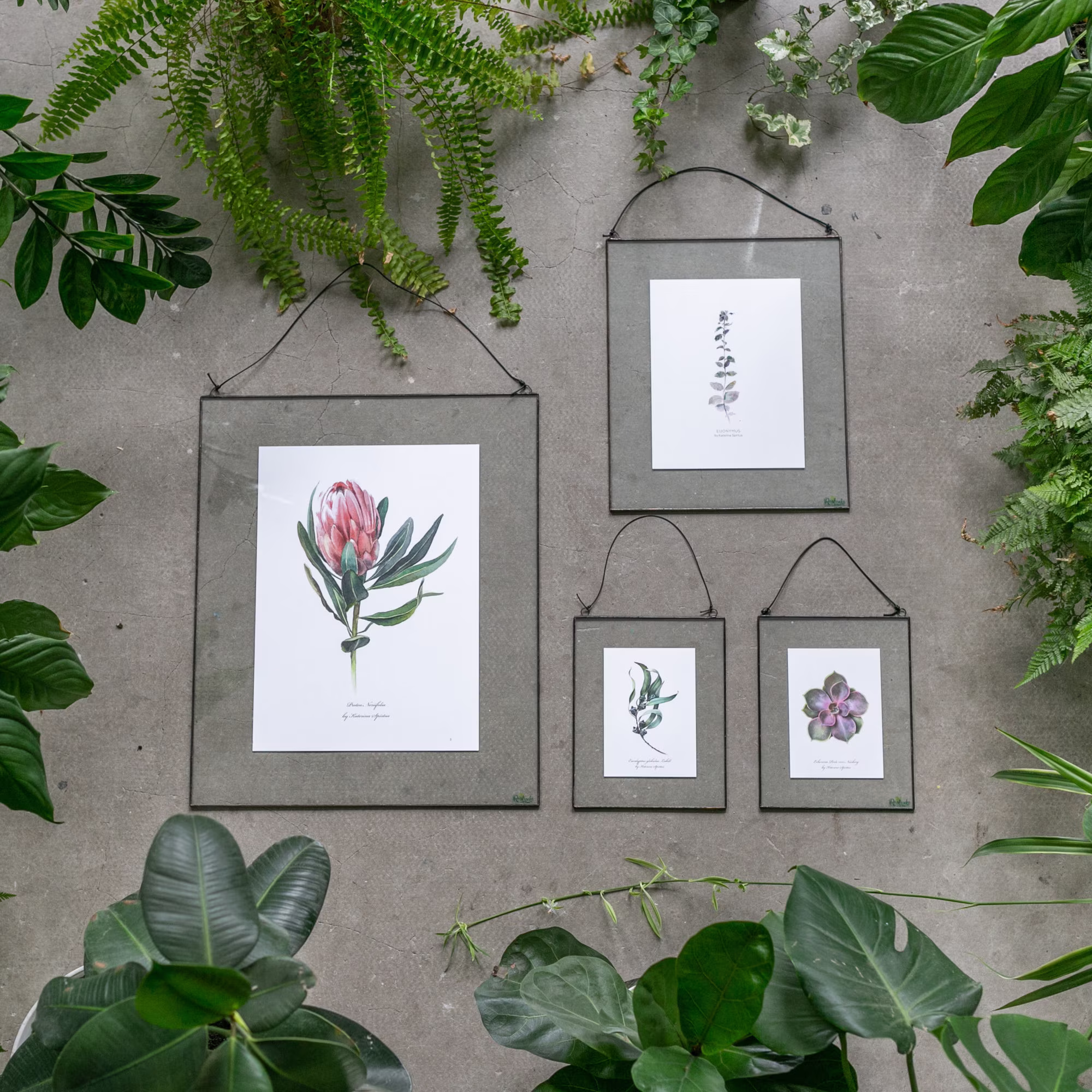 Hanging Flower Print, Framed Botanical Art, Set Of 4, Stained Glass Plant Frame, Rectangular Panel, Apothecary Herb