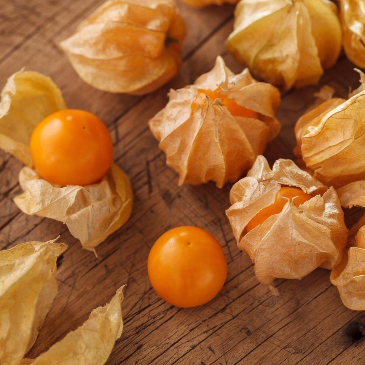Cape Gooseberry Peruvian Groundcherry 25 Seeds | Easy To Grow, Exotic & Deliciously Sweet Tasting Berries Australia Rare
