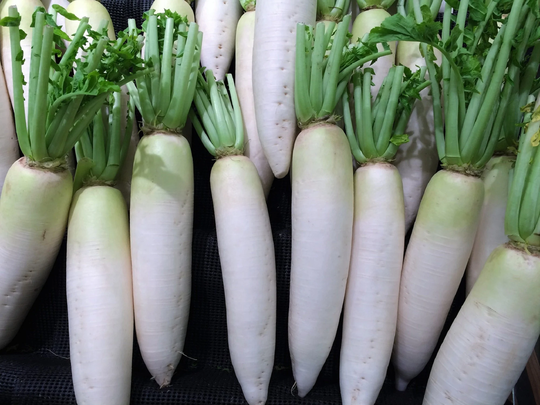 Batch Of 500 White Radish Seeds Transparent