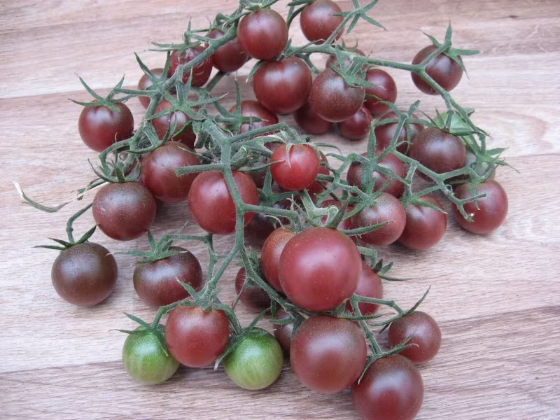Tomato Seeds Black Cherry