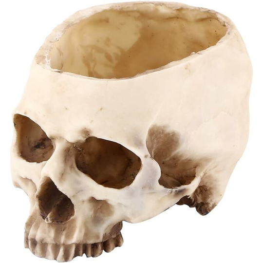 Artificial Resin Skull Head, Halloween Ornament Candy Bowl, Flower Pot Garden Planter Home Bar Table Decoration