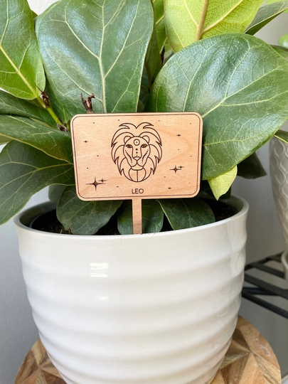 Zodiac Plant Signs| Markers| Birthday Gift | Boho Decor Sticks Garden Accessories| Leo