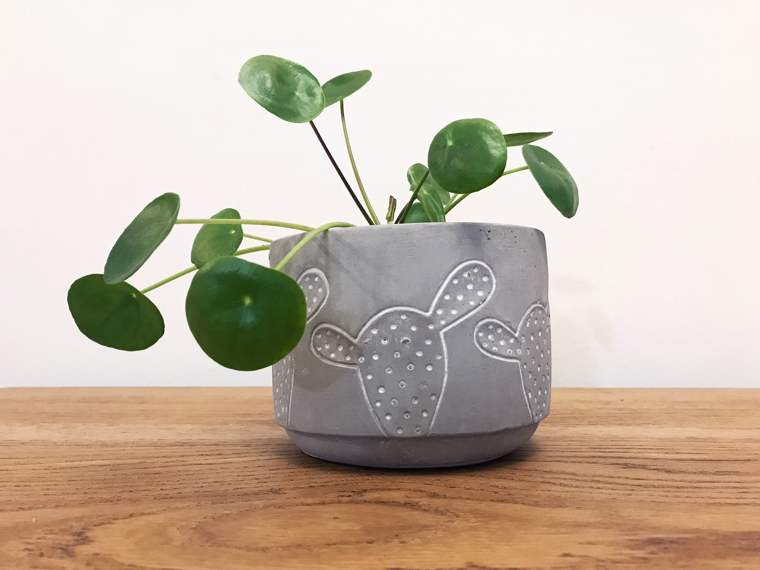 Cute Concrete Planter, 4 Inch Cactus Gray Pot, Succulent Plant Pot Indoor, Houseplant Round Cache Gift For Mom, Prickly Pear