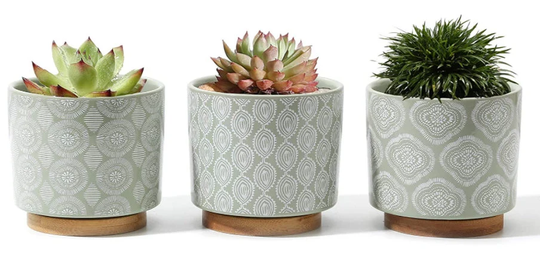 3.4 Inch Succulent Planter Pots - Small Ceramic Flower Plant Indoor With Drainage Hole & Bamboo Of 3, Green White Pattern