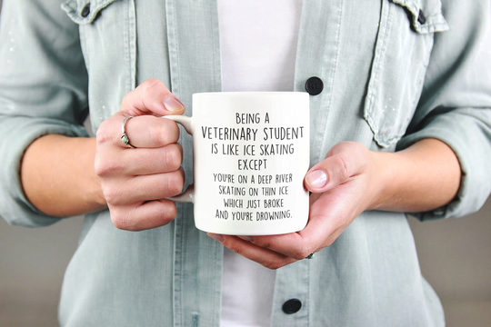 Funny Veterinary Student Mug, Veterinarian School Gift, Vet Gifts, Medicine Future Present