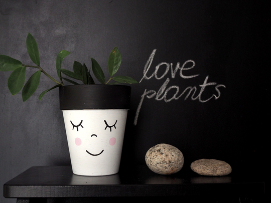 Terracotta Plant Pot Hand Painted With The Funny Face, Ceramic Drainage Hole, Multiple Sizes Available