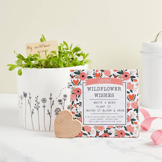 Loving Wildflower Wishes - Plantable Seed Gift Set
