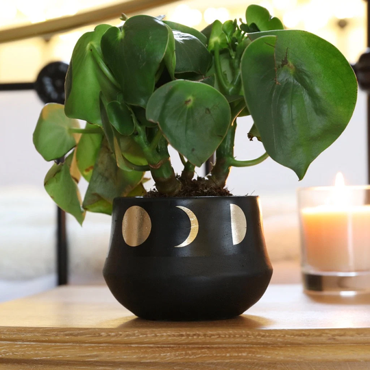Sass & Belle Moon Phases Black Planter, H9cm