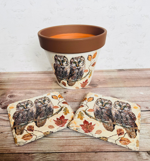 Brown Owl Plant Pot & Coasters, Flower Pot, Autumn Home Decor, Gift Set