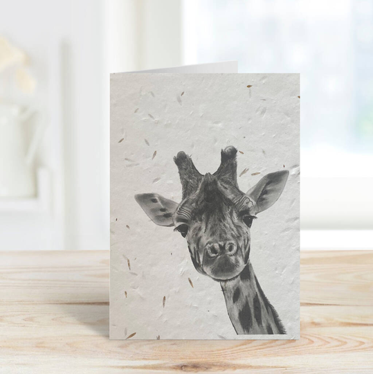 Maya The Giraffe Plantable Seeded Eco Greeting Card