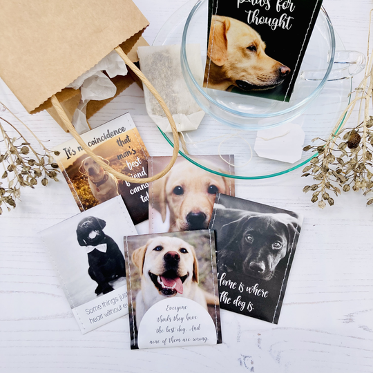 Labrador Lovers Tea Gift Set