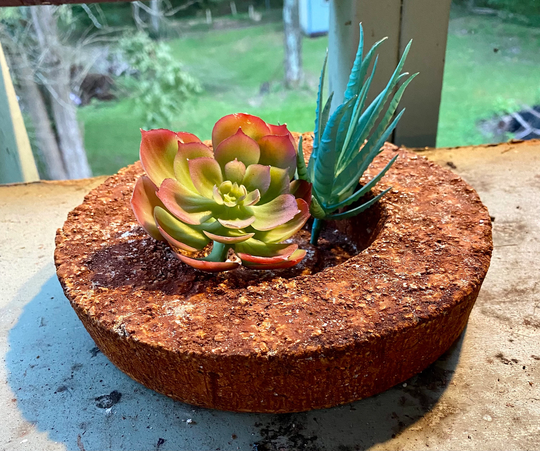 Hypertufa 8