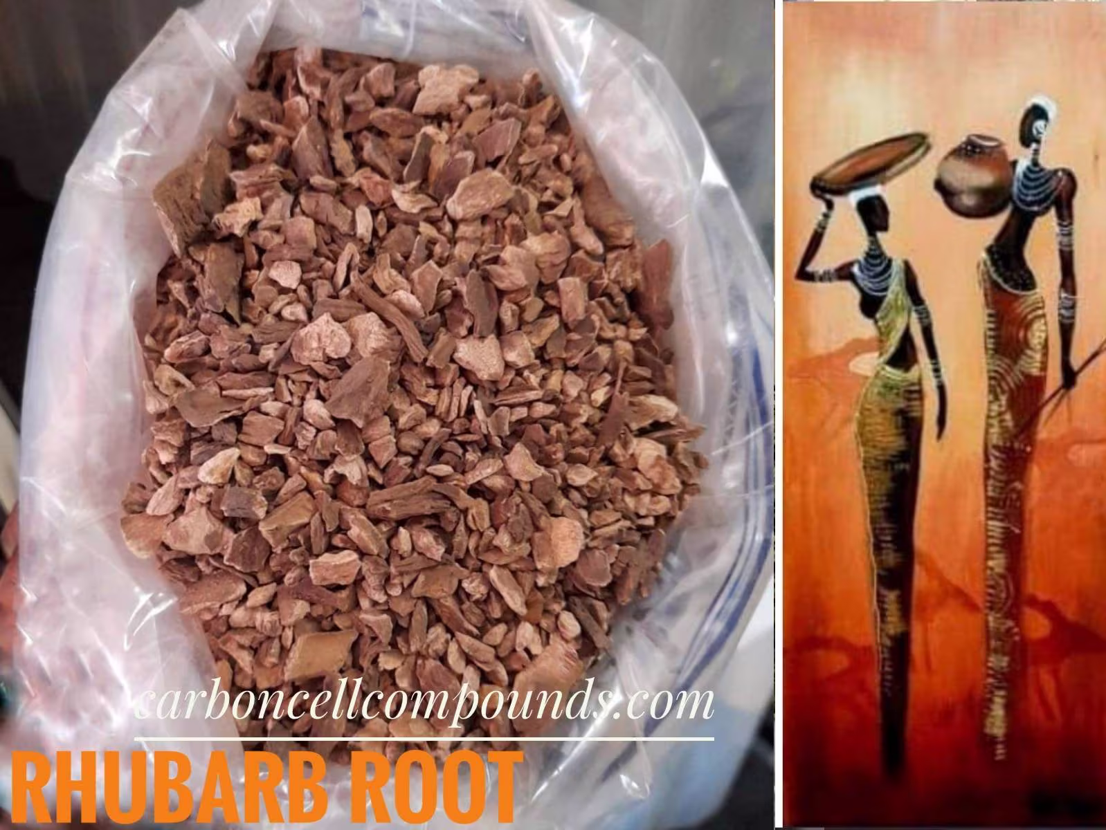 Rhubarb Root | Country Of Origin. Italy Free Shipping