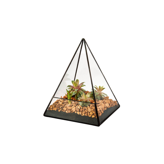 14x14x19 Triangular Clear Glass Terrarium Planter Geometric Display Weddings Centrepiece For Air Plants Moss Succulents Indoor Modern Garden