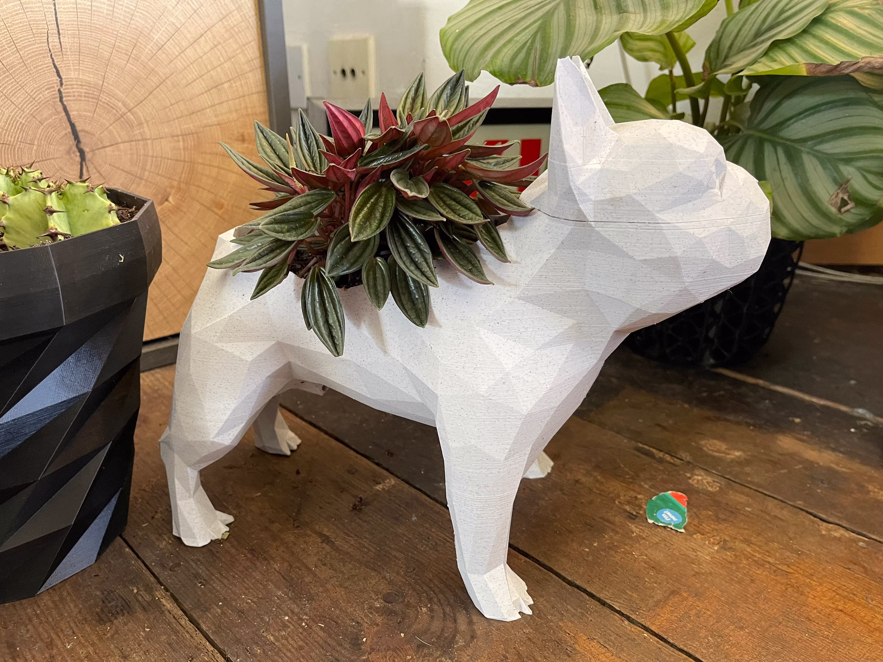 French Bulldog Frenchie Planter Plant Pot . 3D Printed