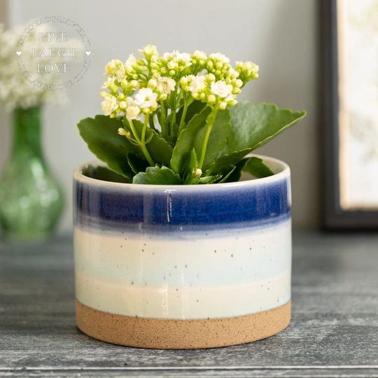 Large Ceramic Sea Life Inspired Planter