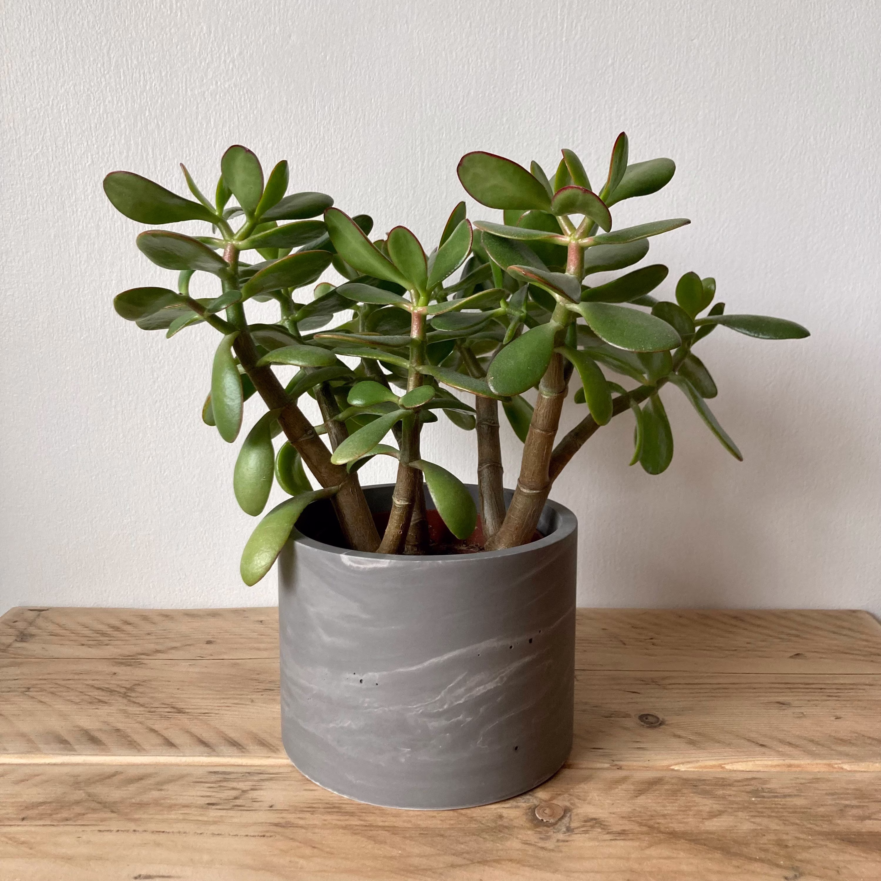 Dark Grey Marbled Large Plant Pot