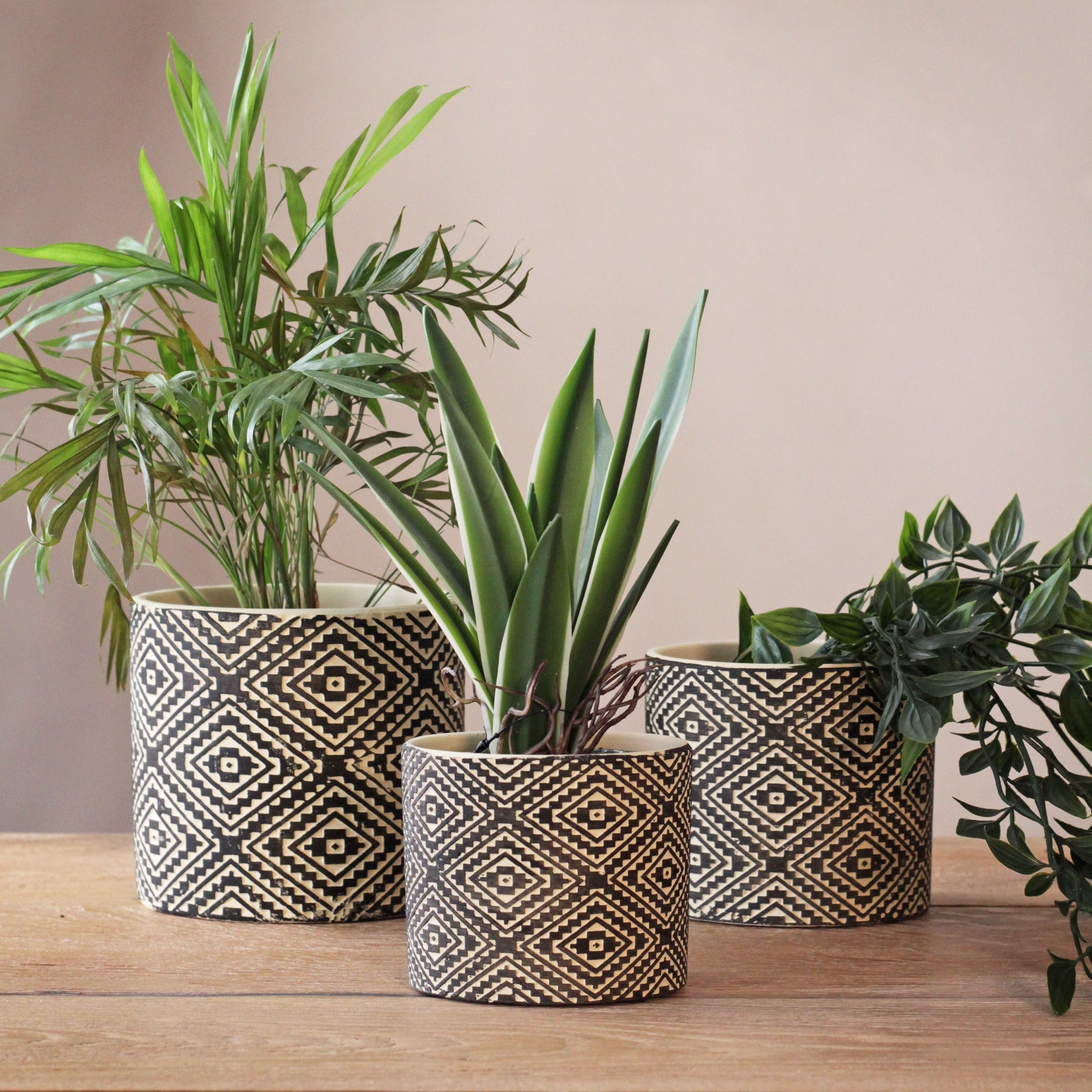 Black Terracotta