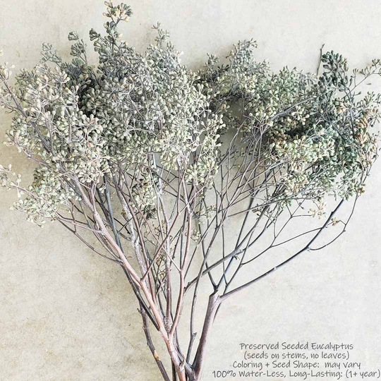 Seeded Eucalyptus, Preserved-Dried | Arrangement, Bouquet, Wedding, Centerpiece, Garland, Decor, Bout, Boho, Rustic